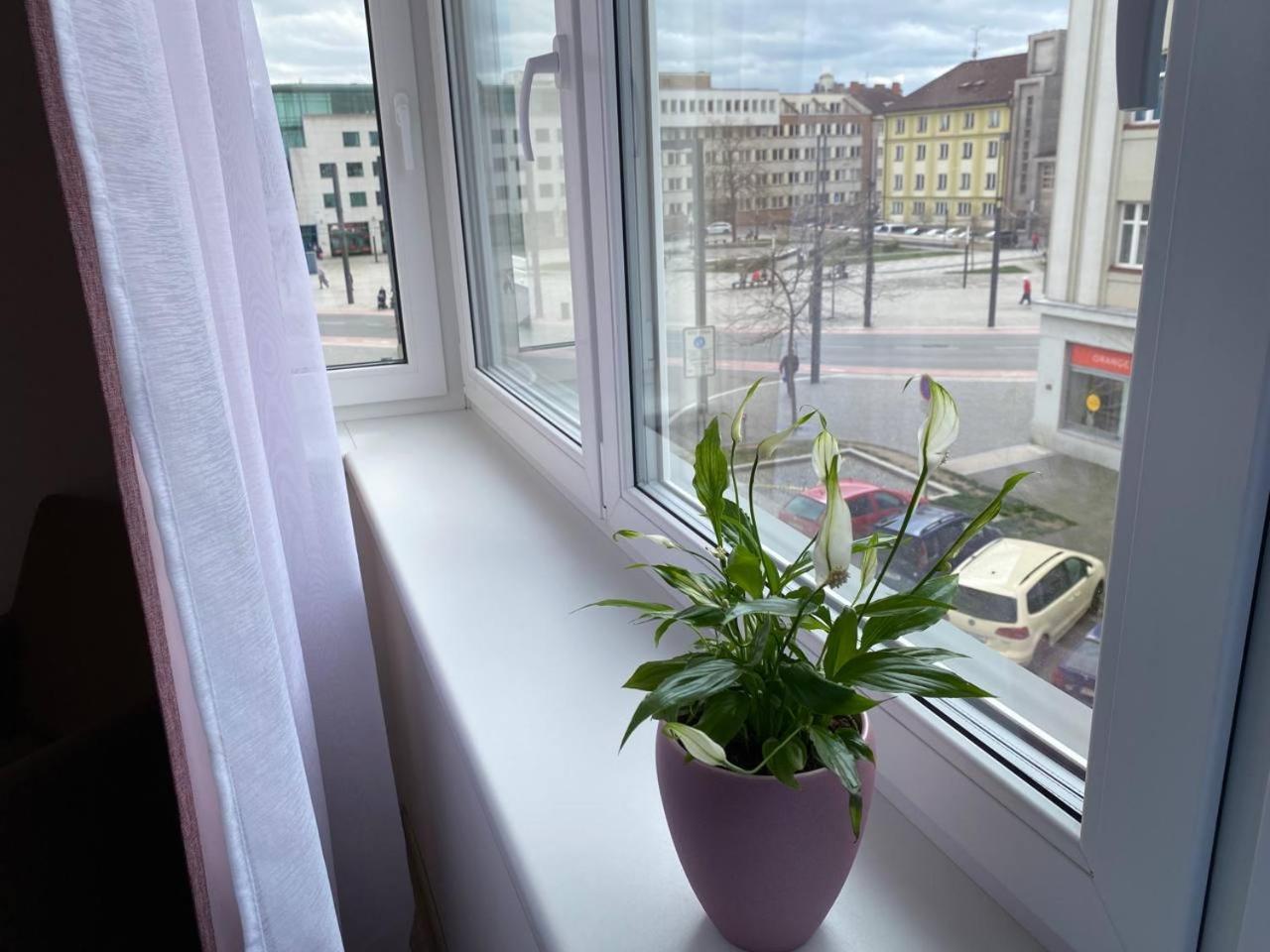 Perla Hradce 202 Apartment Hradec Kralove Luaran gambar